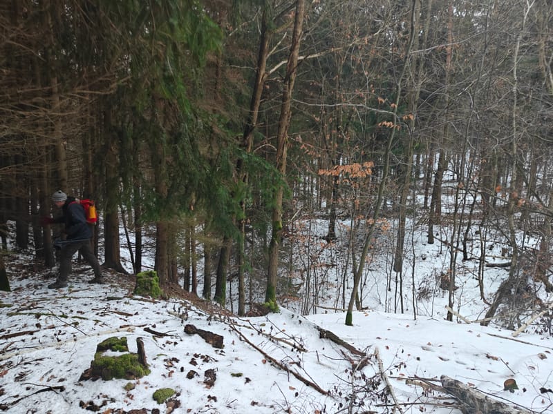 OKFF-3601, OKFF-3427